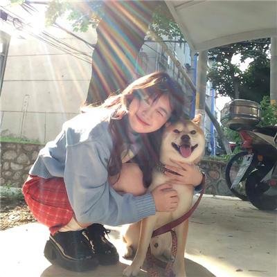 阿尔法：狼伴归途国语