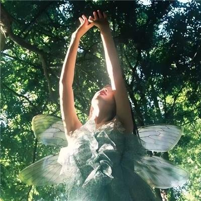 江先生谎言到此为止